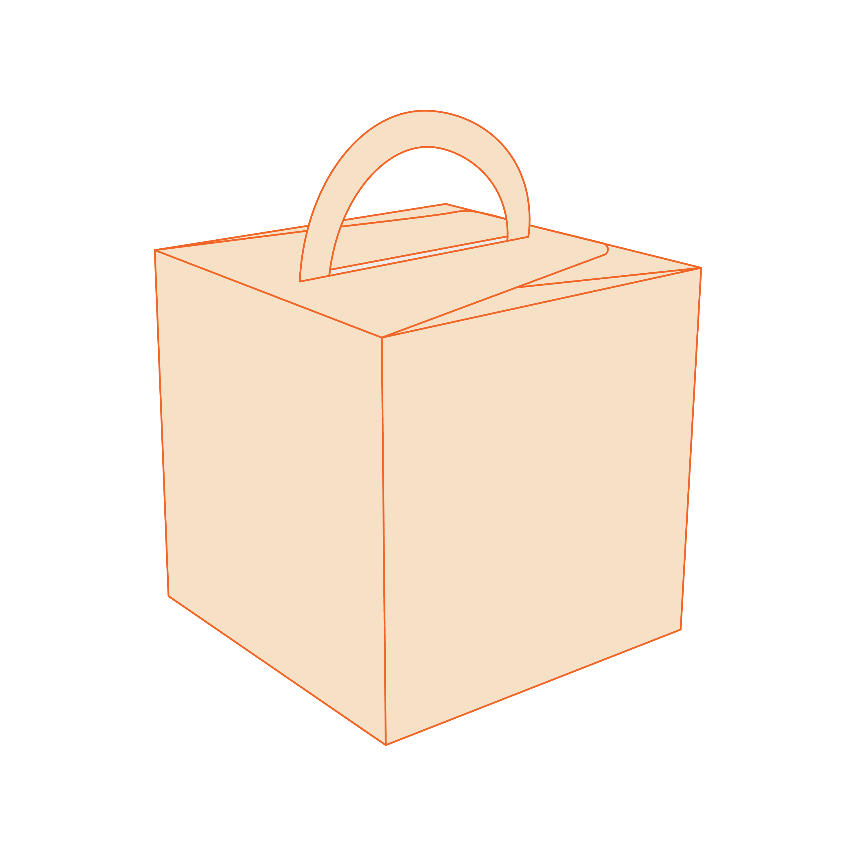 Cube Shaped Carrier Boxes